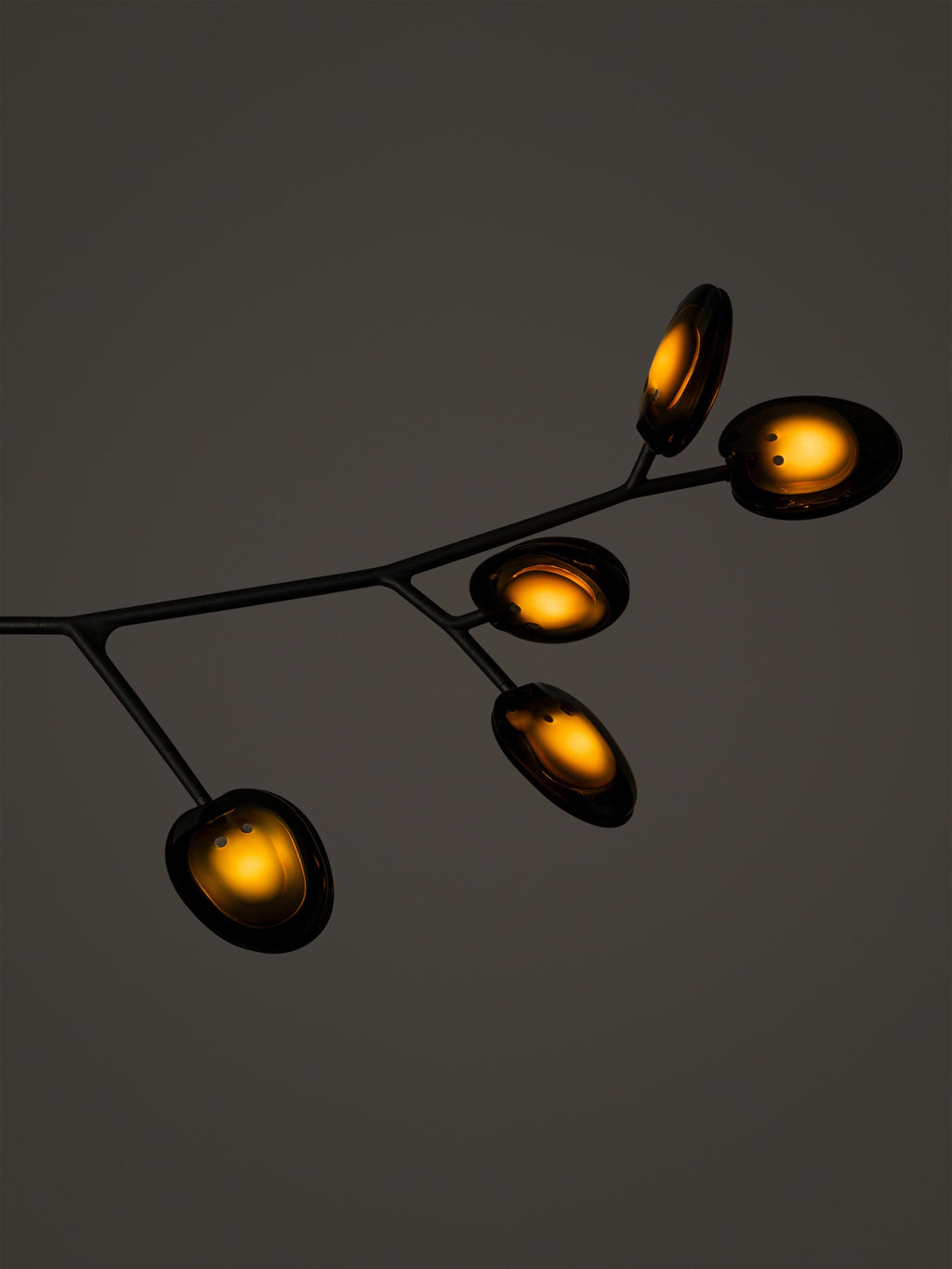 16.9a.1 Armature Ceiling Lamp