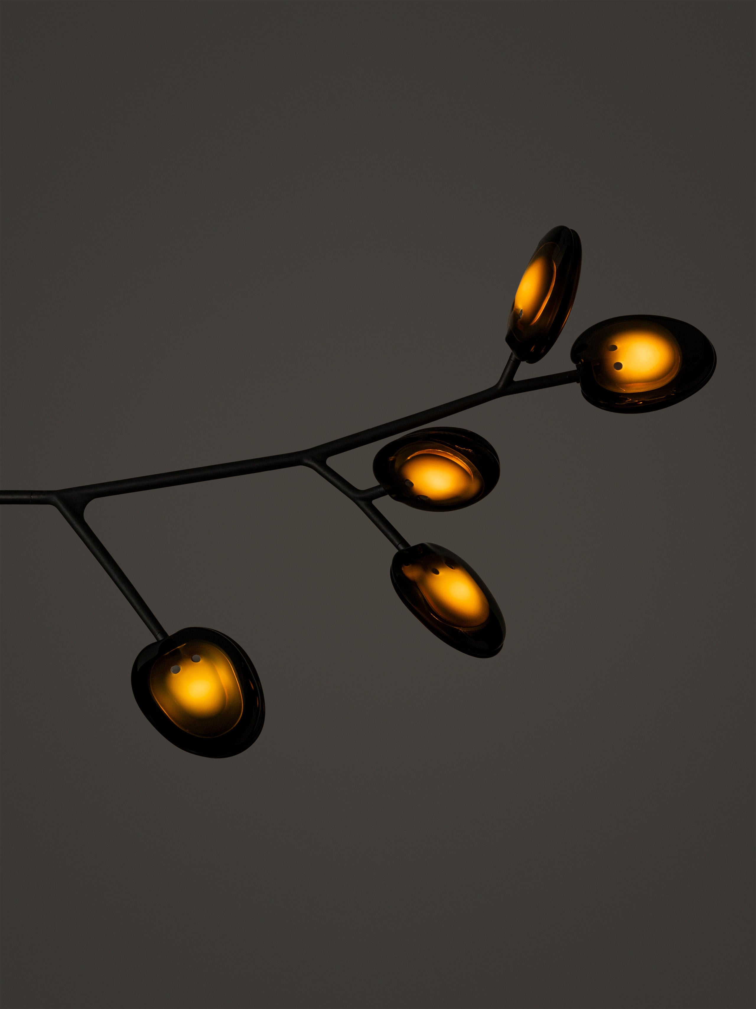 16.9a.1 Armature Ceiling Lamp