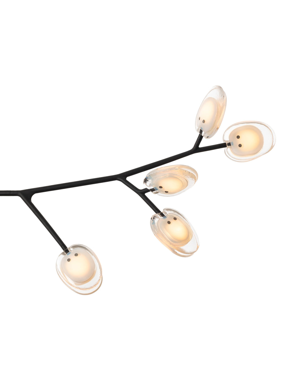 16.9a.1 Armature Ceiling Lamp
