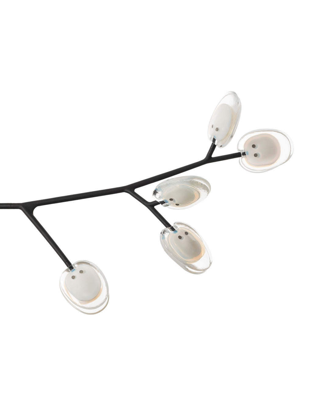 16.9a.1 Armature Ceiling Lamp