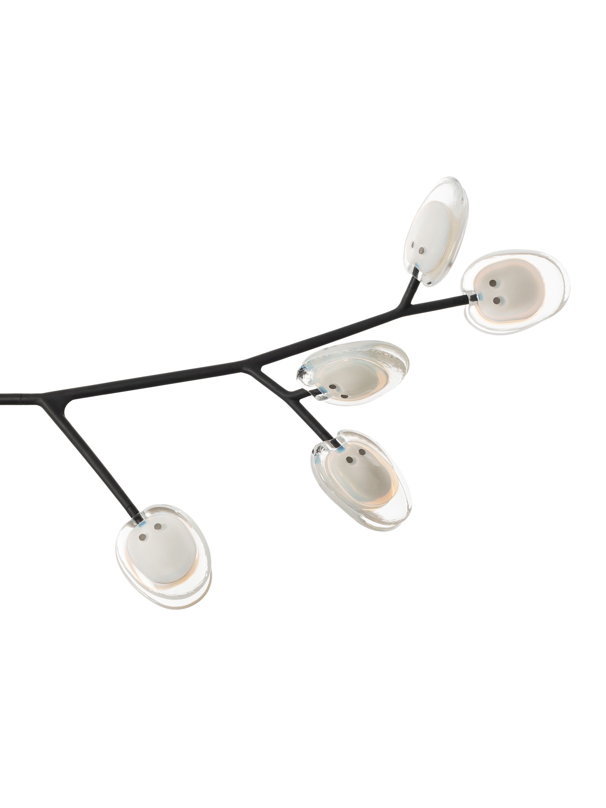 16.9a.1 Armature Ceiling Lamp