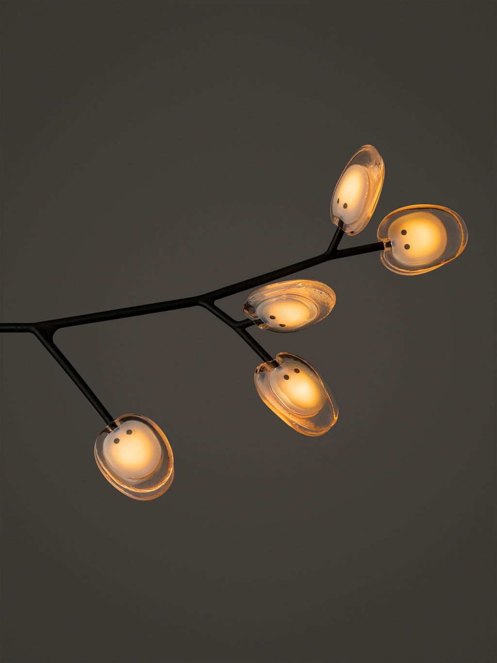 16.9a.1 Armature Ceiling Lamp