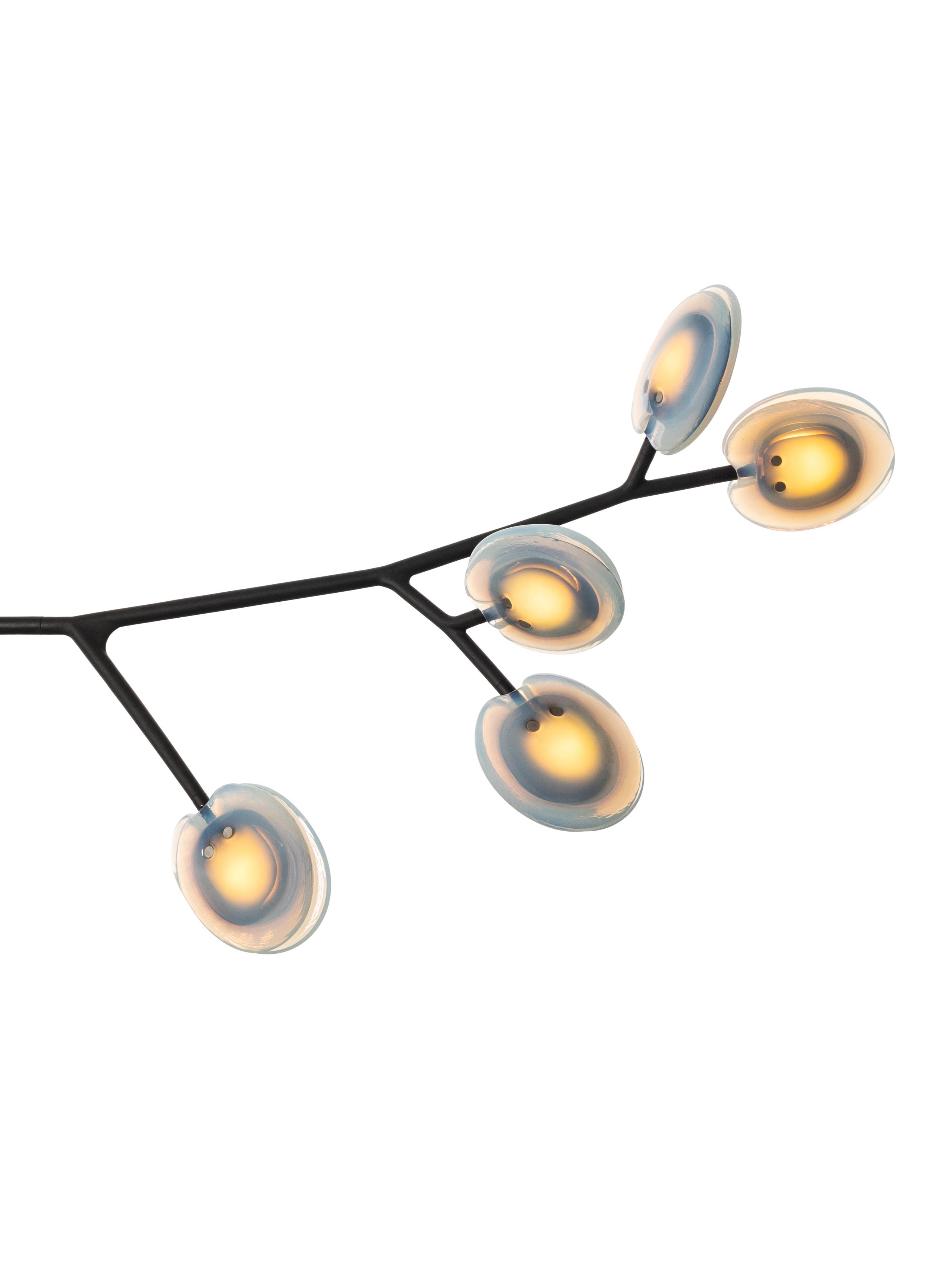 16.9a.1 Armature Ceiling Lamp