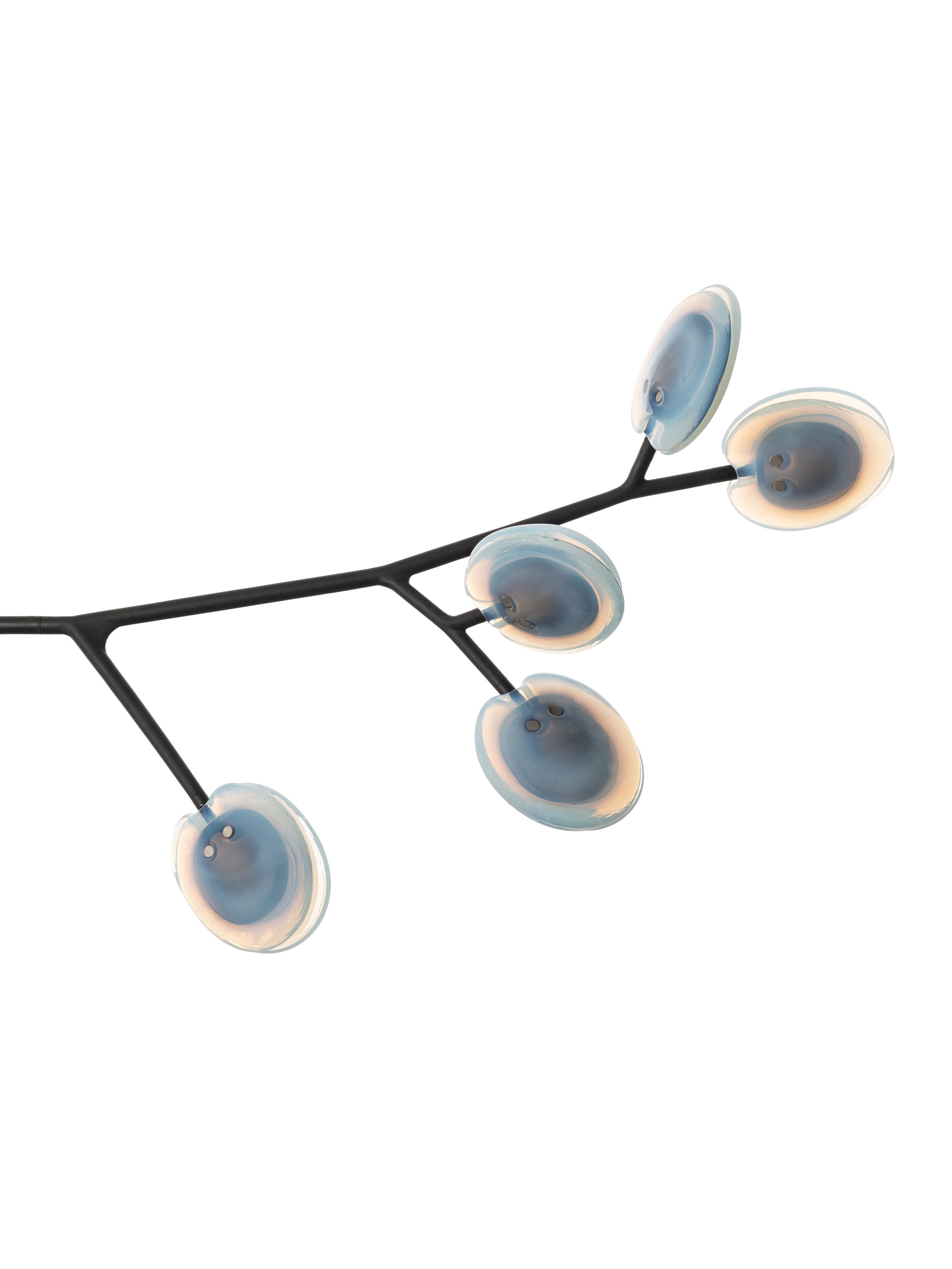 16.9a.1 Armature Ceiling Lamp