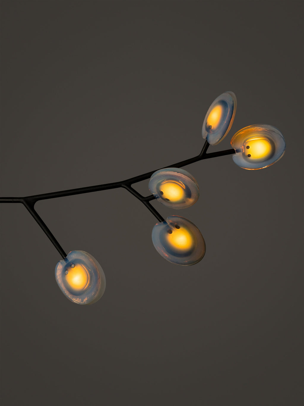 16.9a.1 Armature Ceiling Lamp