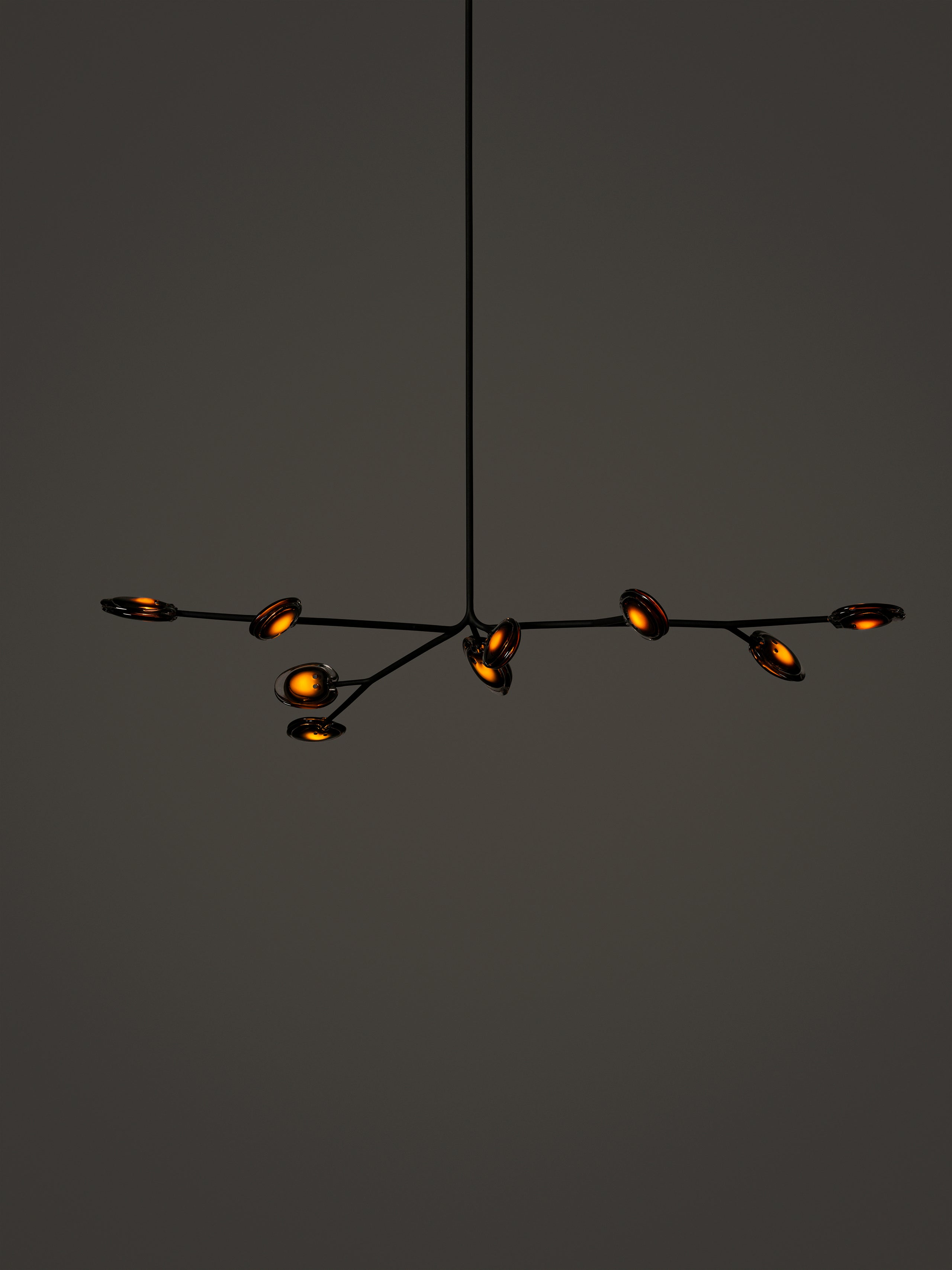 16.9a.1 Armature Ceiling Lamp