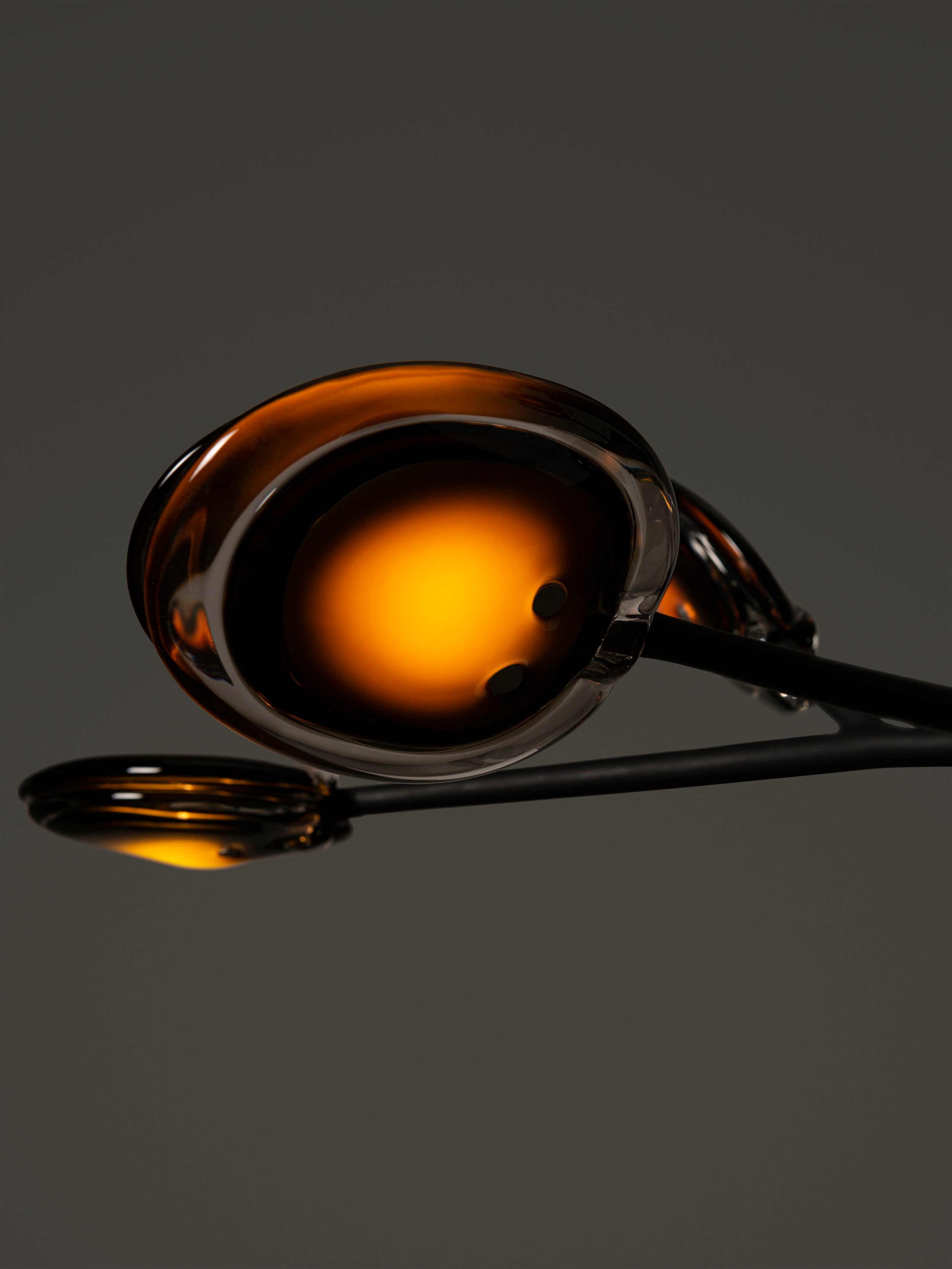 16.9a.1 Armature Ceiling Lamp