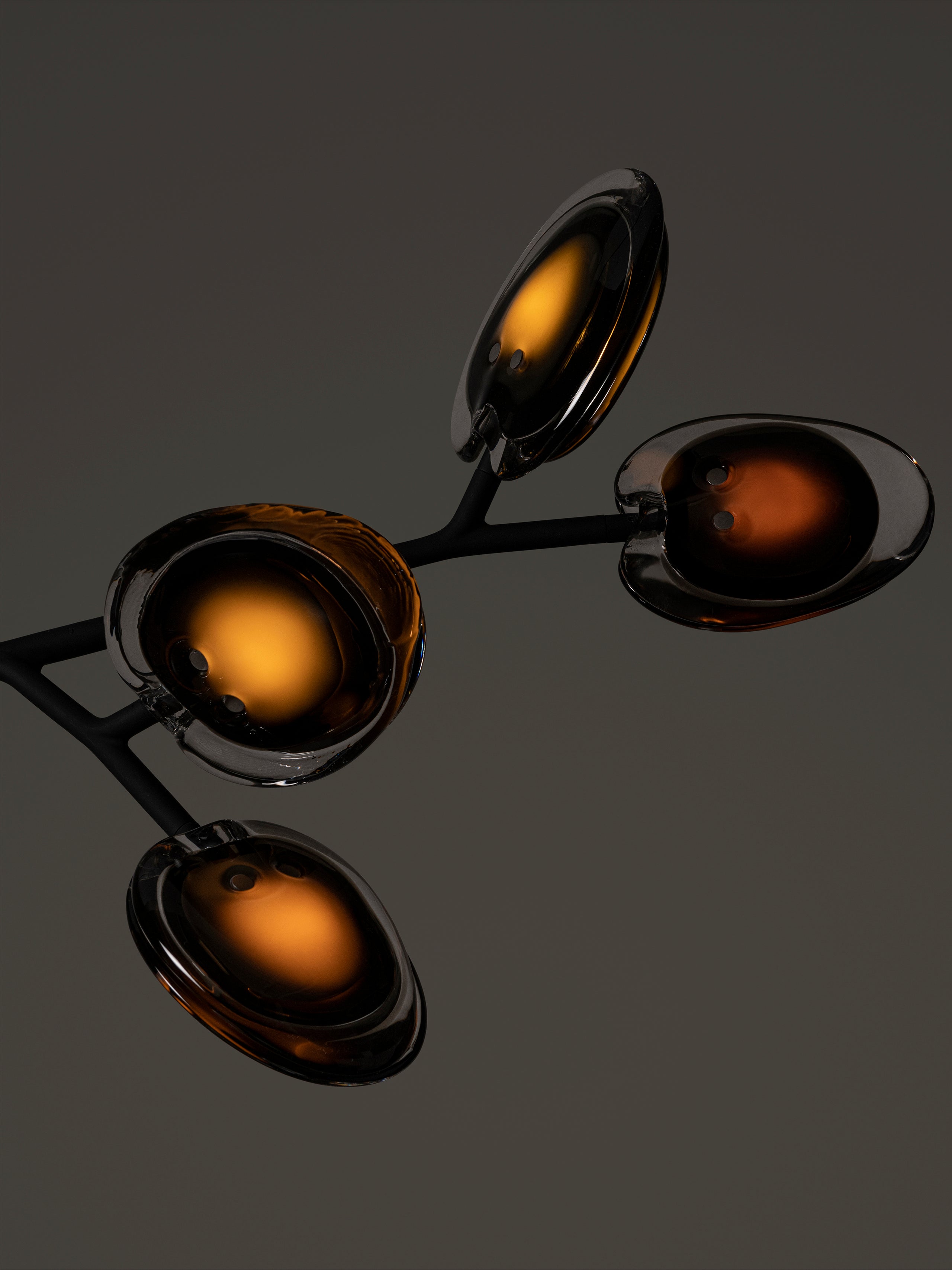 16.9a.1 Armature Ceiling Lamp