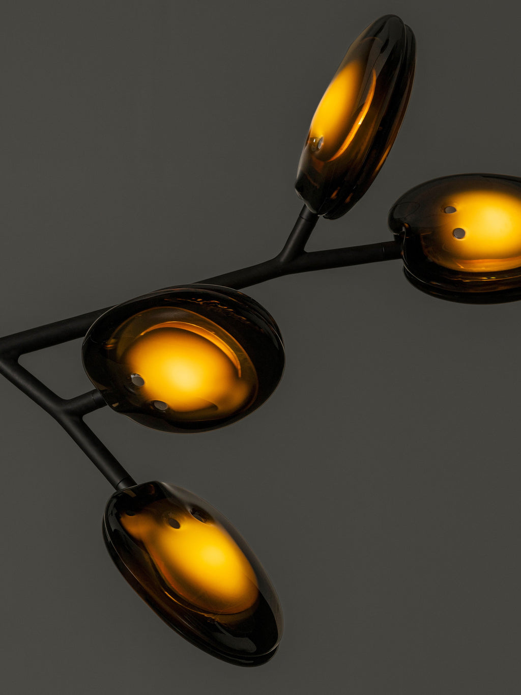 16.9a.1 Armature Ceiling Lamp