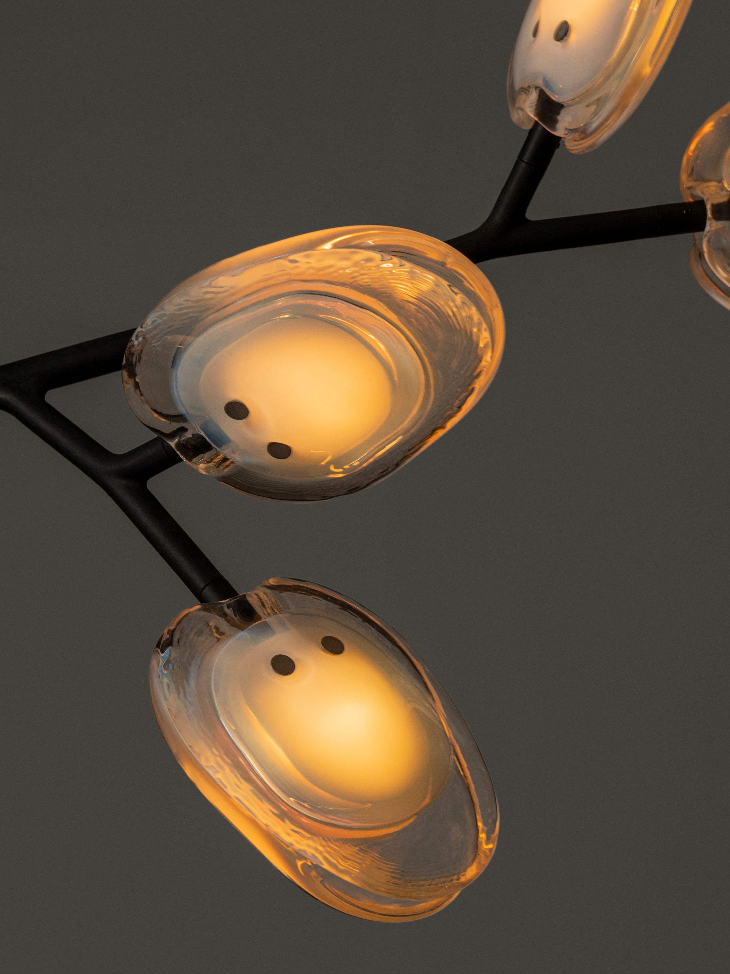 16.9a.1 Armature Ceiling Lamp