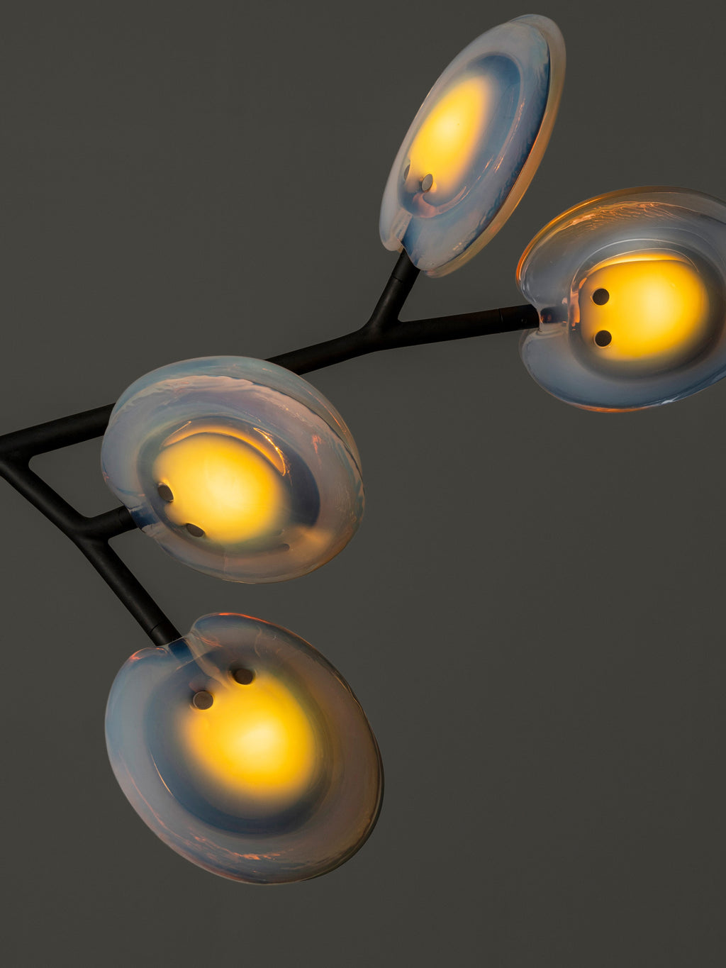 16.9a.1 Armature Ceiling Lamp