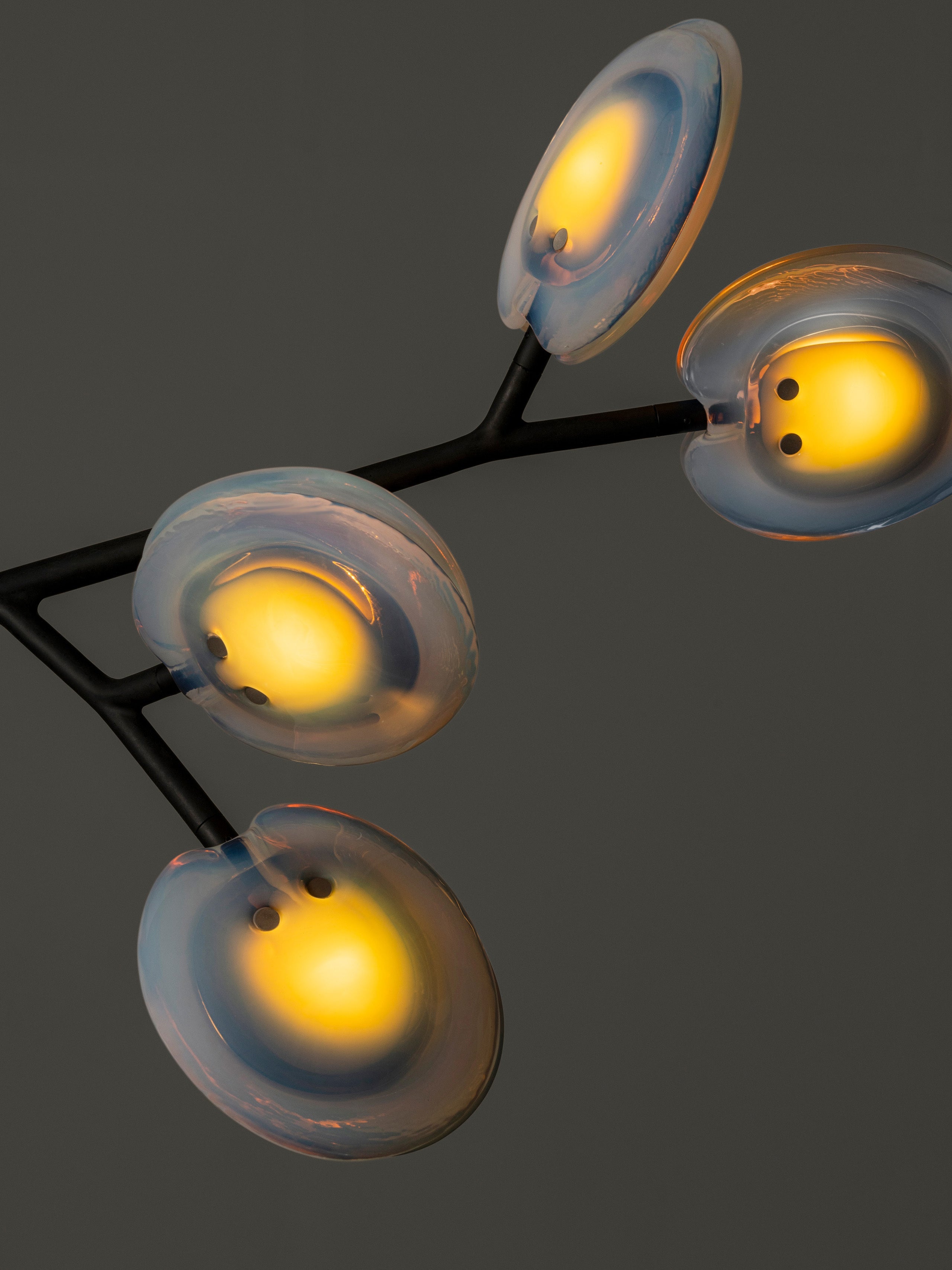 16.9a.1 Armature Ceiling Lamp