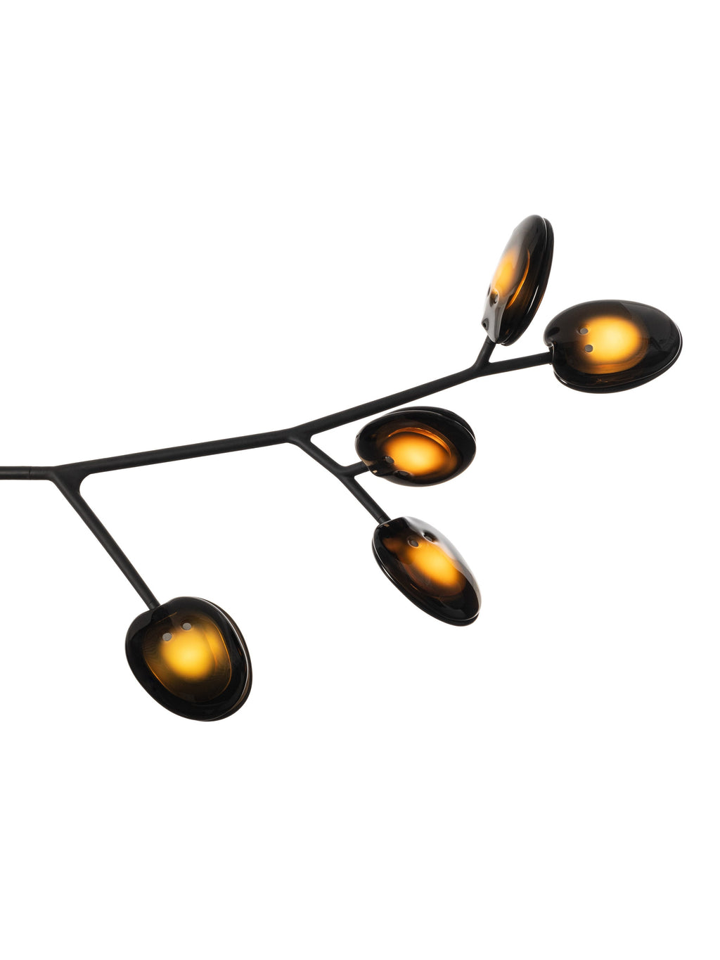 16.9a.1 Armature Ceiling Lamp